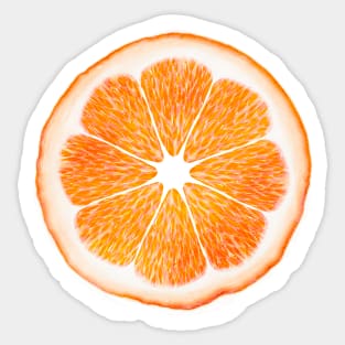 Watercolor Orange Sticker